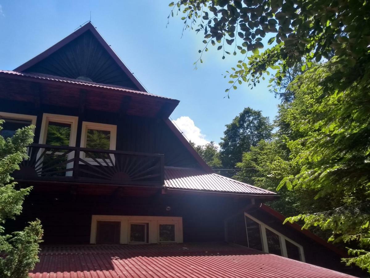 Willa Wislok Wisła Exterior foto